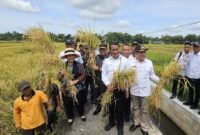 Ketua Komisi IV DPR RI, Titiek Soeharto saat meninjau jalanya panen raya bersama Menteri Pertanian Andi Amran Sulaiman di Kabupaten Bantul. (Dok. Kementerian Pertanian)