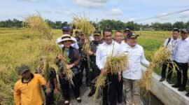 Ketua Komisi IV DPR RI, Titiek Soeharto saat meninjau jalanya panen raya bersama Menteri Pertanian Andi Amran Sulaiman di Kabupaten Bantul. (Dok. Kementerian Pertanian)
