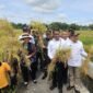Ketua Komisi IV DPR RI, Titiek Soeharto saat meninjau jalanya panen raya bersama Menteri Pertanian Andi Amran Sulaiman di Kabupaten Bantul. (Dok. Kementerian Pertanian)