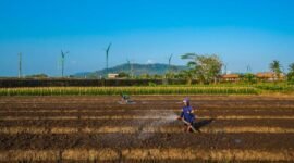 BRI terus berkomitmen dalam menerapkan prinsip Environmental, Social, and Governance (ESG) sebagai bagian dari strategi bisnis Perseroan. (Dok. BRI)