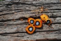 Penyidikan Kasus Dugaan Suap Fasilitas Ekspor CPO. (Pixabay.com/Orientierungslust)