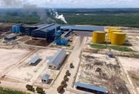 Perkebunan sawit PGUN di Kalimantan Selatan, pusat produksi utama yang menopang lonjakan laba semester I 2025. (Dok. pradiksi.co.id)