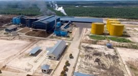 Perkebunan sawit PGUN di Kalimantan Selatan, pusat produksi utama yang menopang lonjakan laba semester I 2025. (Dok. pradiksi.co.id)