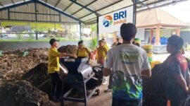 Mengubah sampah menjadi emas! Lewat program BRI Peduli ‘Yok Kita Gas’, BRI latih pengurus TPS3R di Bali ubah sampah organik jadi pupuk kompos. (Dok. BRI)