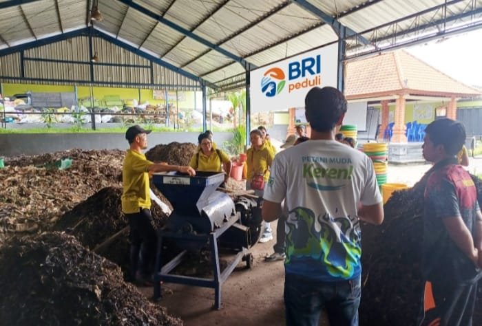 Mengubah sampah menjadi emas! Lewat program BRI Peduli ‘Yok Kita Gas’, BRI latih pengurus TPS3R di Bali ubah sampah organik jadi pupuk kompos. (Dok. BRI)