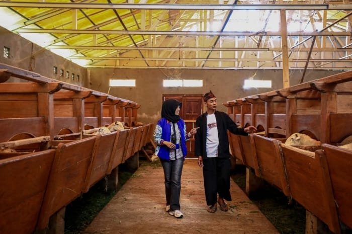 BRI sukses dorong lebih dari setengah juta nasabah KUR naik kelas! Ini bukti komitmen BRI untuk UMKM Indonesia. (Dok. BRI)