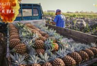 Through stunning and immersive cinematography, the show captures the dedication, skill, and patience behind every step of the process.