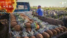Through stunning and immersive cinematography, the show captures the dedication, skill, and patience behind every step of the process.