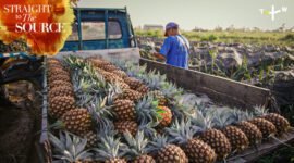 Through stunning and immersive cinematography, the show captures the dedication, skill, and patience behind every step of the process.